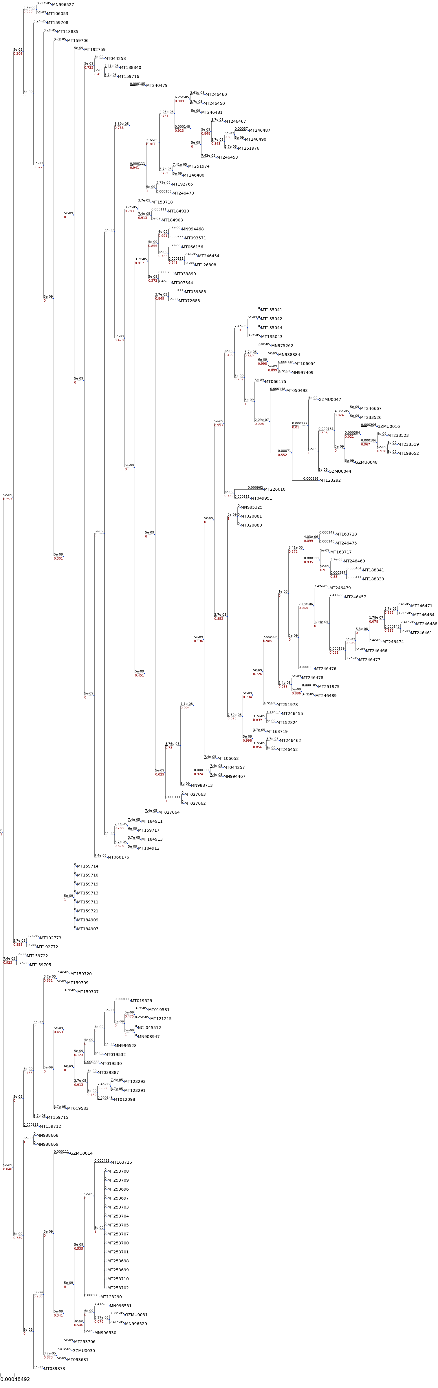 ../_images/examples_coronavirus_analysis_Tree_building_for_153_Coronavirus_genomes_10_0.png
