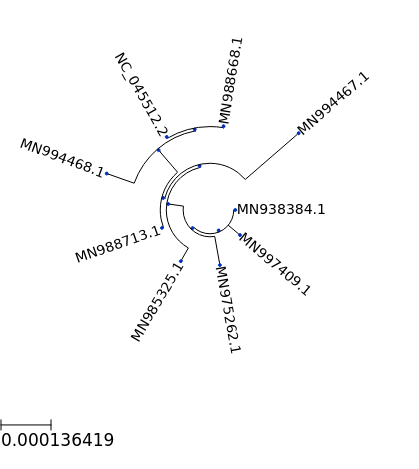 ../_images/examples_coronavirus_analysis_multiple_sequence_alignment_and_tree_building_15_0.png