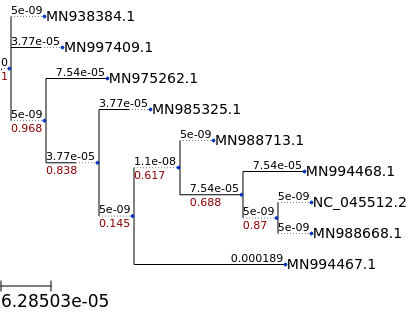 ../_images/examples_coronavirus_analysis_multiple_sequence_alignment_and_tree_building_16_0.png